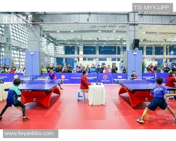 西安乒乓球队的运营揭秘与深度分析探索乒乓球运动的未来发展之路